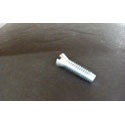 STEP TREAD SCREW  12-24 x 7/8