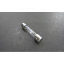 FUSE AGC 10A 250V  GLASS (ord mult 5)