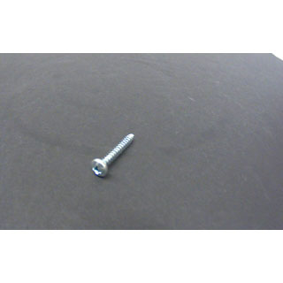 RD.HD.SELF TAPPING SCR.BZ2,9X19 DIN7981