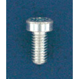 ZYL.SCREW M6X12 DIN7984 8,8