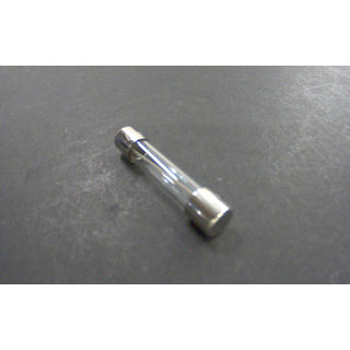 FUSE AGC 10A 250V  GLASS (ord mult 5)